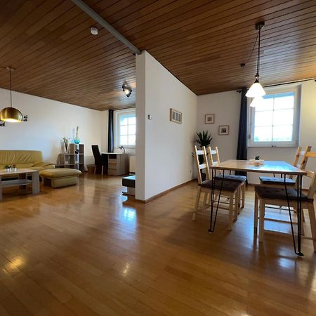 Uebernachten In Grosser Maisonette-Wohnung By Rabe Karlsruhe Ngoại thất bức ảnh